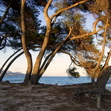 Marblava * Playa de Muro (Mallorca)